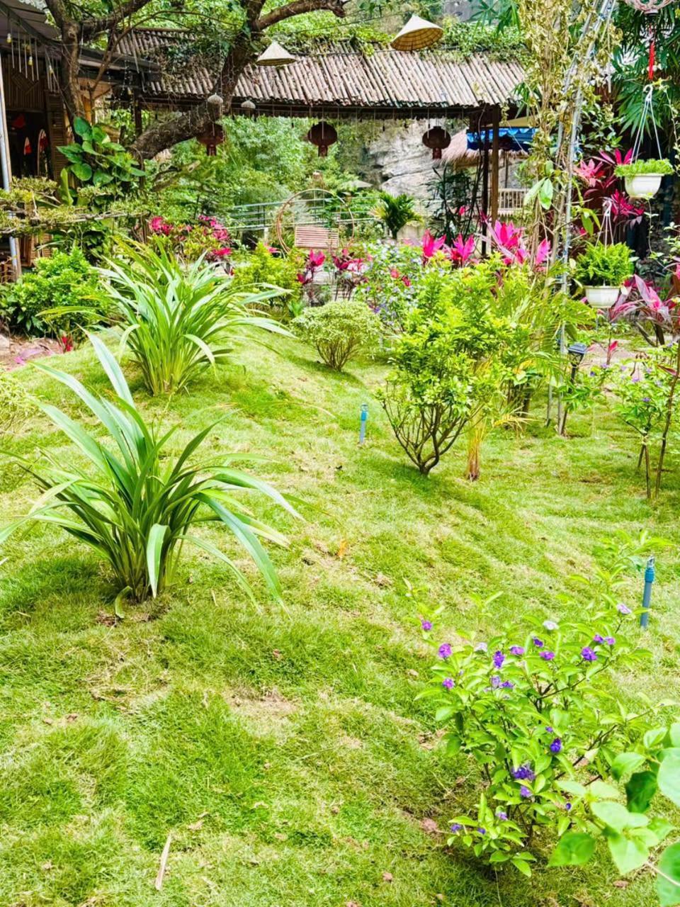 Green Valley Homestay - Thung Lung Xanh Nguyen Ngoai 외부 사진