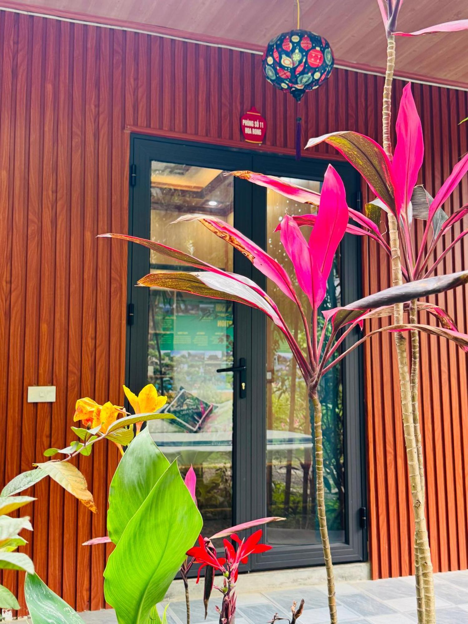 Green Valley Homestay - Thung Lung Xanh Nguyen Ngoai 외부 사진