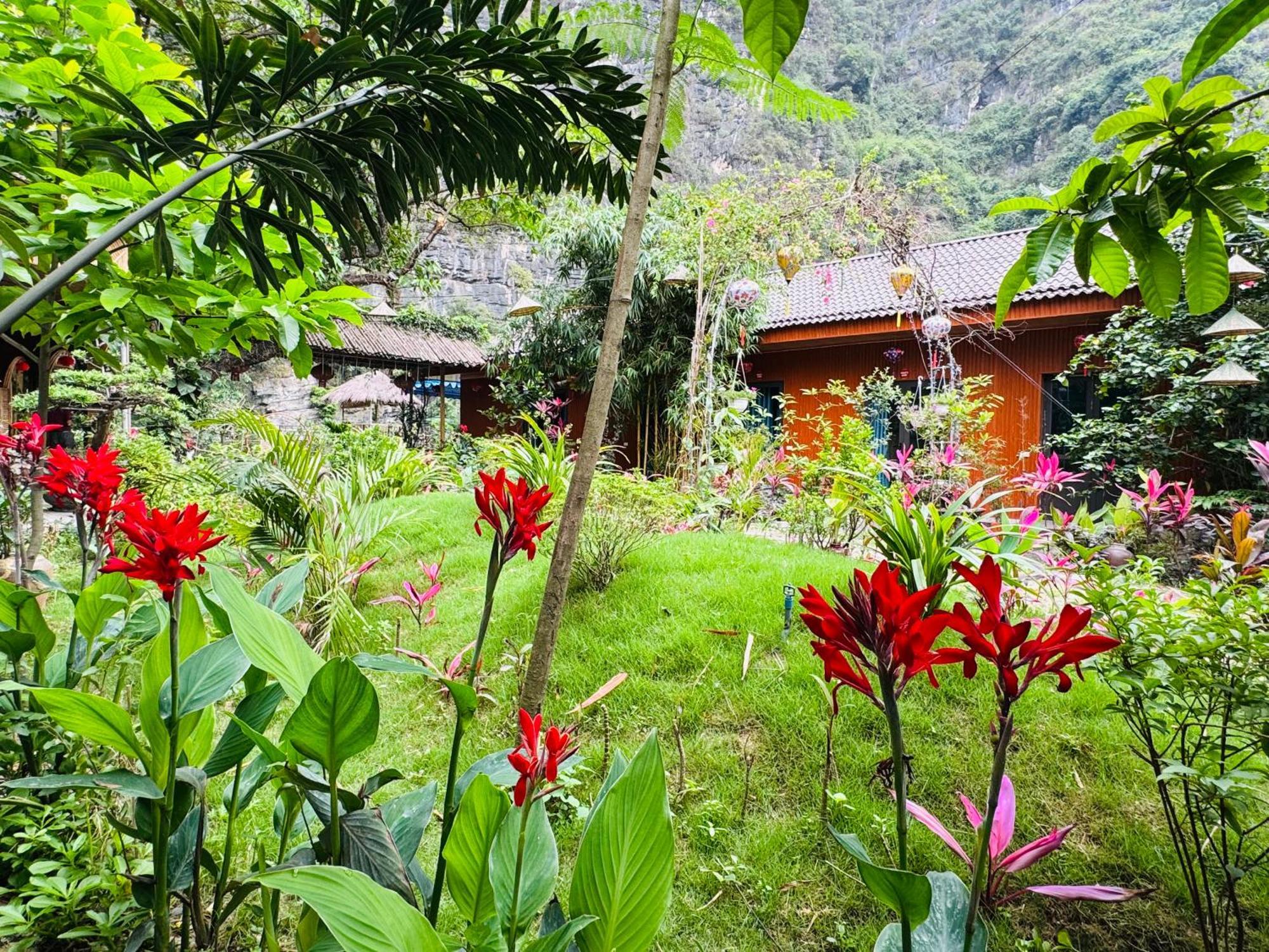 Green Valley Homestay - Thung Lung Xanh Nguyen Ngoai 외부 사진