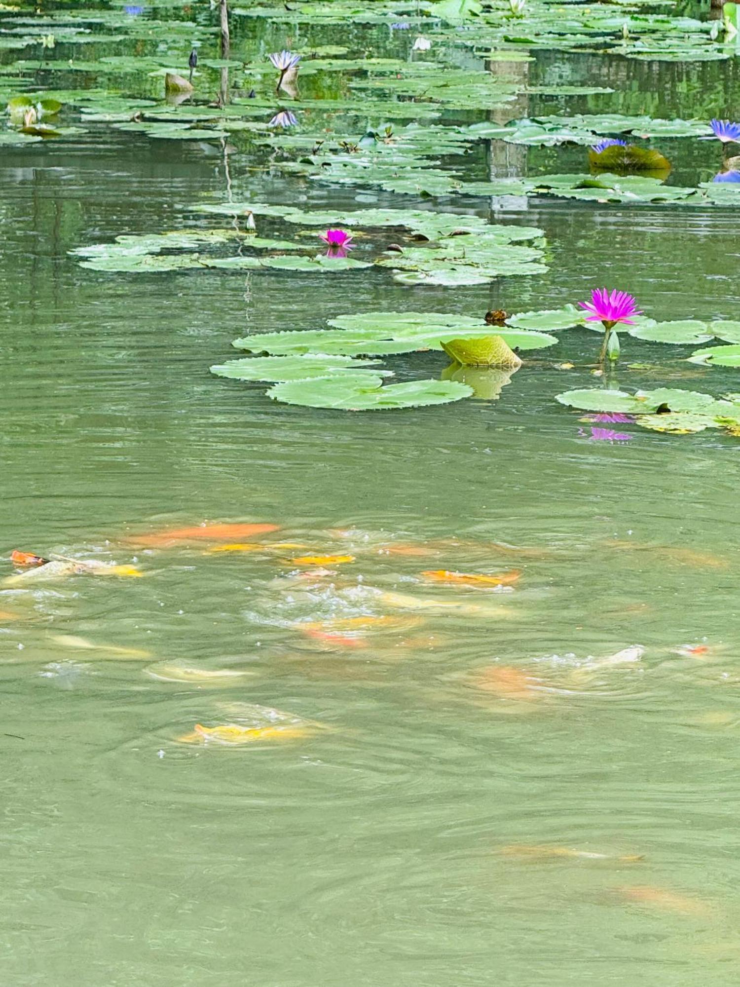 Green Valley Homestay - Thung Lung Xanh Nguyen Ngoai 외부 사진